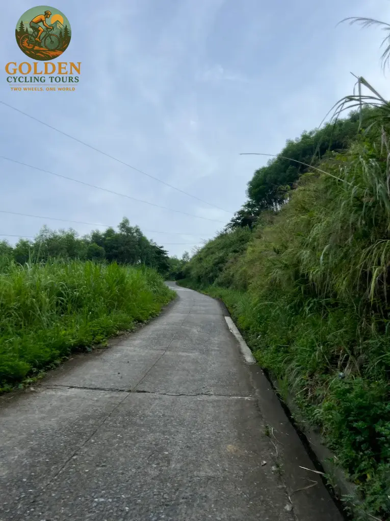 3-Day Thai Nguyen Backroad Cycling Tour: Ban Ten, Tea Hills & Nui Coc